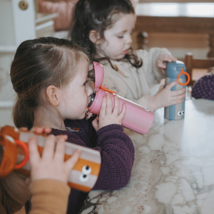 Noui Noui Izolirana termo bočica od nehrđajučeg čelika 350ml - Dino